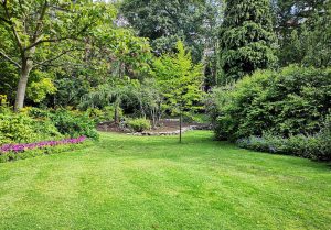 Optimiser l'expérience du jardin à Licheres-sur-Yonne